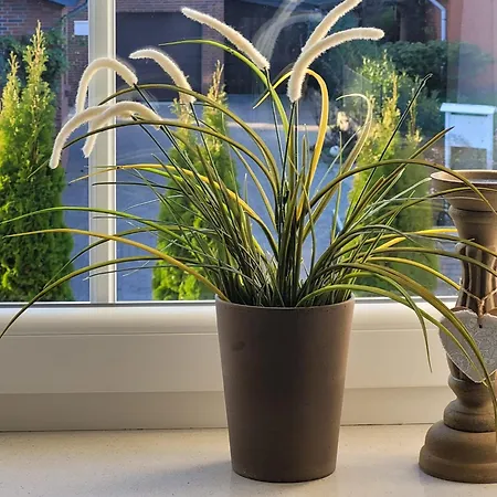 Ott Apartman Amelinghausen