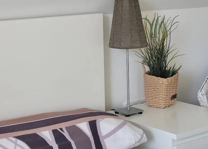 Ott * 阿默灵豪森