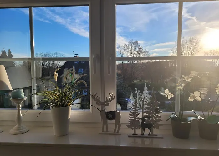 Ott * 阿默灵豪森