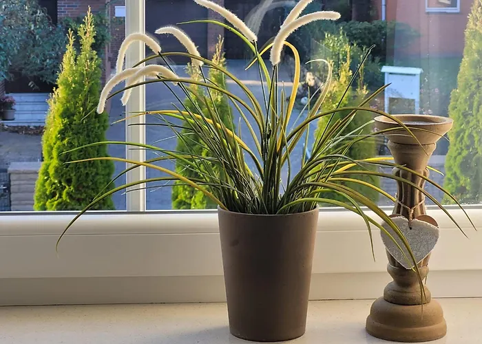 Ott 公寓 阿默灵豪森